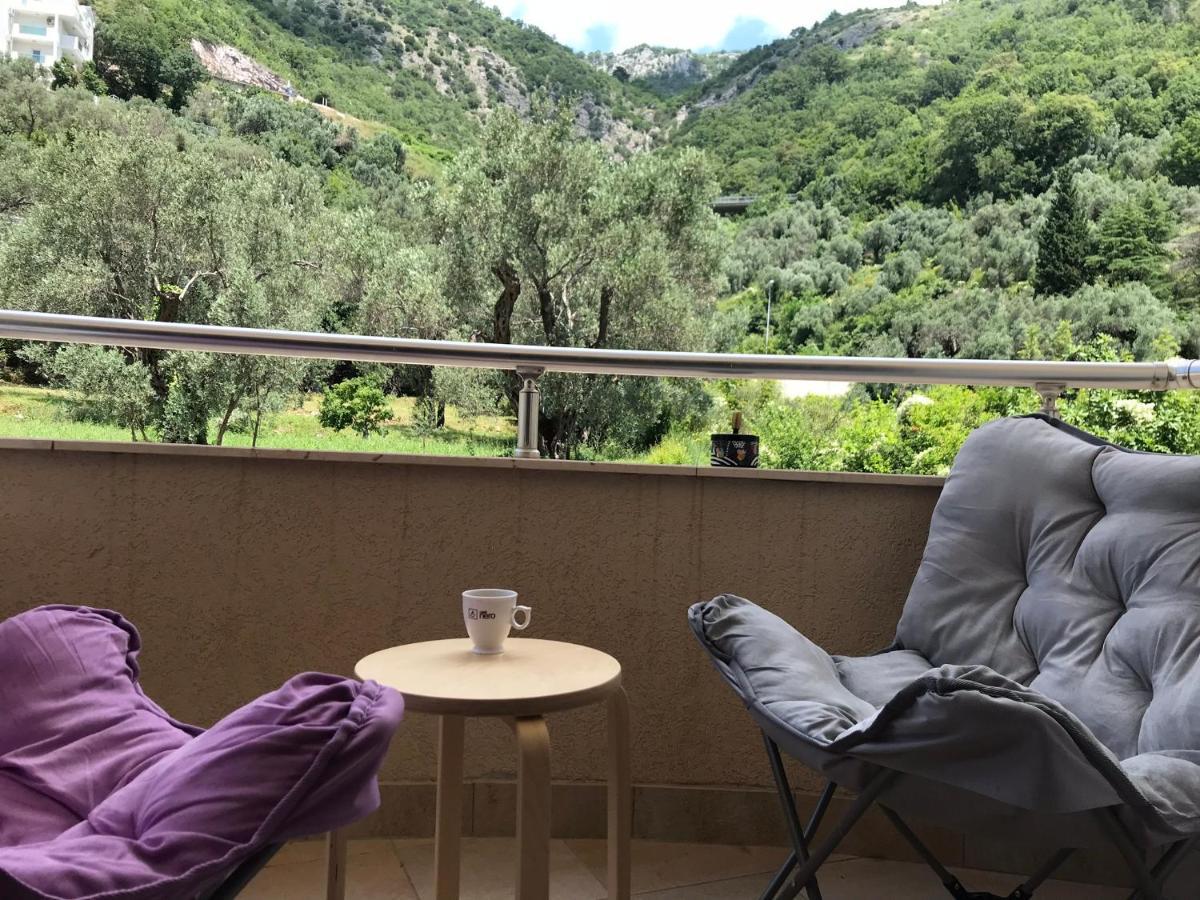 Petrovac Vila V Lux Apartments المظهر الخارجي الصورة